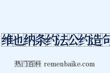 维也纳条约法公约造句是什么意思的图片